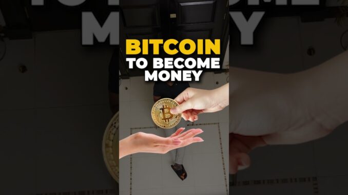 Bitcoin Will Be The Money 🪙