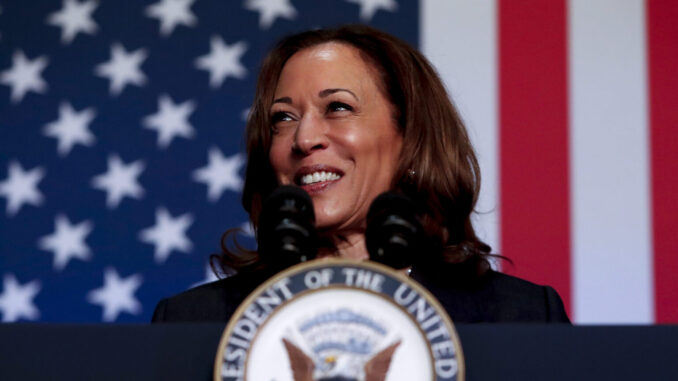 Kamala Harris Finds Ally In Ripple CEO Brad Garlinghouse Amid Kamala Harris