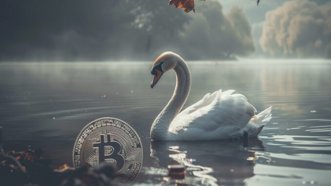 Swan Bitcoin halts mining and IPO plans, announces staff cuts