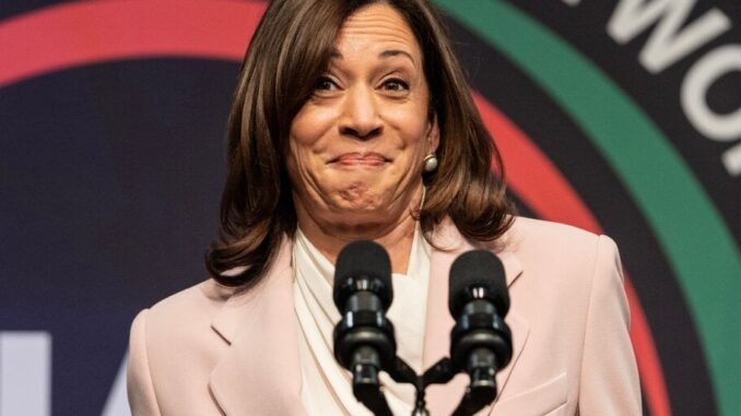 Could Kamala Harris Be Better for Bitcoin Than Trump? VanEck Could Kamala Harris Be Better for Bitcoin Than Trump? VanEck Thinks So