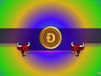 Is DOGE Gearing up for a Massive Rally?