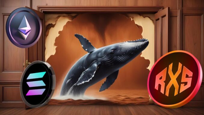 Is Rexas Finance (RXS) the next altcoin to explode? Solana Is Rexas Finance (RXS) the next altcoin to explode? Solana and Ethereum whales interested