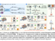 MMed-RAG: A Versatile Multimodal Retrieval-Augmented Generation System Transforming Factual Accuracy in Medical Vision-Language Models Across Multiple Domains