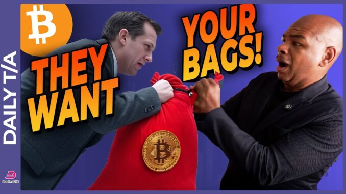 Ho Ho HODL: Why Big Investors Want Your Bags!!!