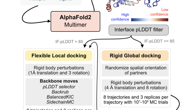 Enhancing Protein Docking with AlphaRED: A Balanced Approach to Protein Enhancing Protein Docking with AlphaRED: A Balanced Approach to Protein Complex Prediction