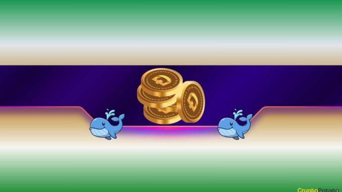 Is DOGE Primed for a New Bull Run? Is DOGE Primed for a New Bull Run?