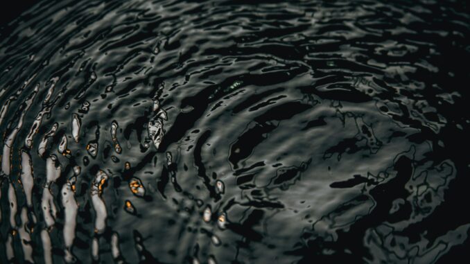 Messari Founder Slams Ripple, Calls It A Risk To Trump’s Crypto