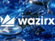 Singapore court backs WazirX plan for post-hack revival